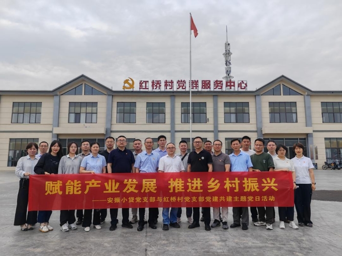汲取奋进力量  赋能乡村振兴丨安振小贷公司党支部联合红桥村党支部开展主题党日活动